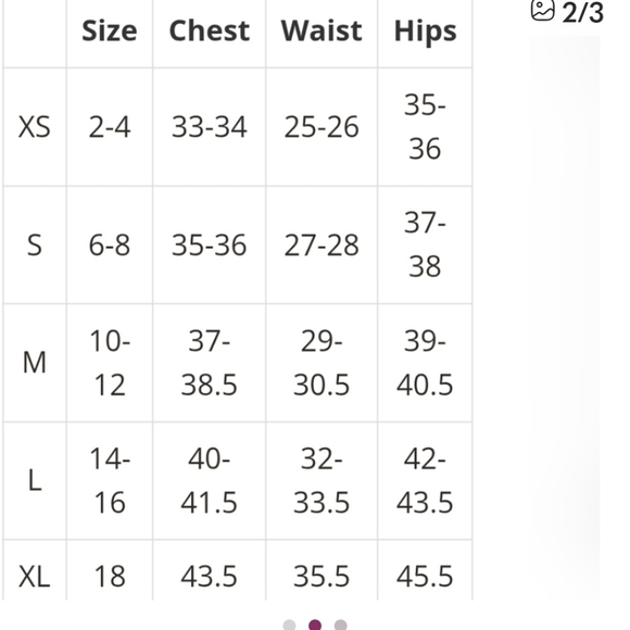 Femme Fatale Knit Sweater Dressy Chiffon Bling Sleeve Wine NWT Size Large - Picture 6 of 6